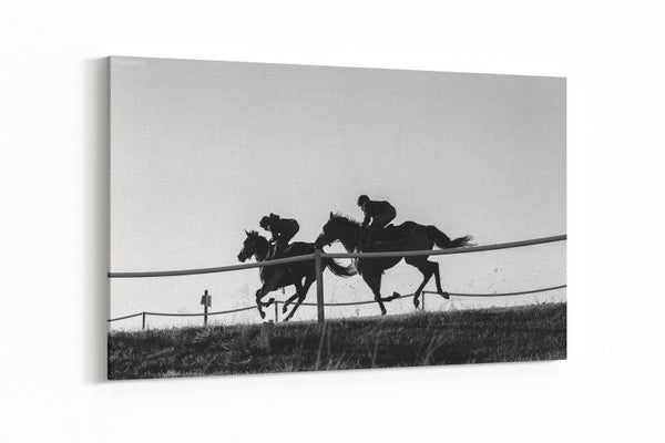 Race paarden