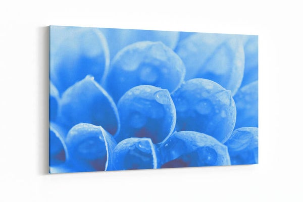 Abstracte bloemblaadjes