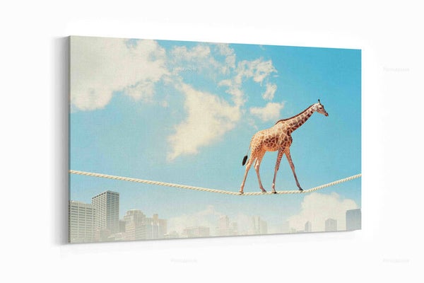 Giraf loopt op touw hoog in de lucht