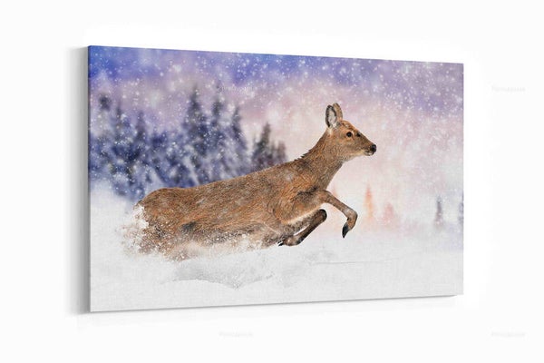 Hert in de natuur. Wintertijd
