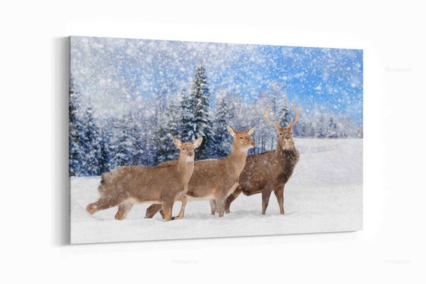 Jonge herten in de natuur. Wintertijd