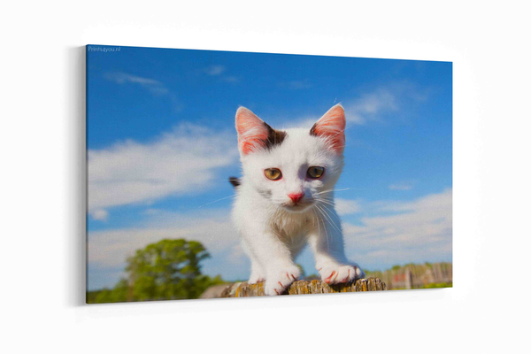 Mooie kitten op een hek