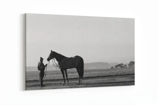 Schilderij Zwart/Wit