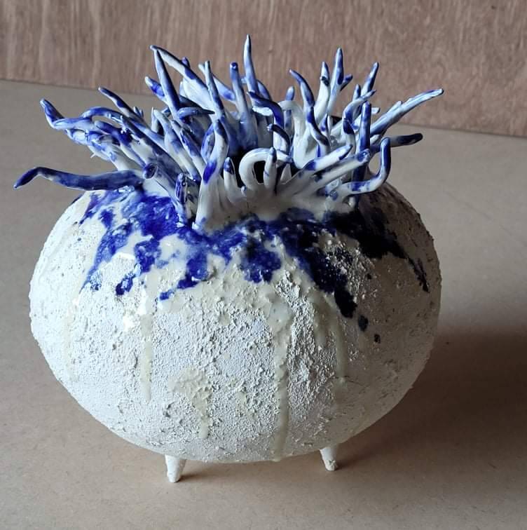 Anemone, 2022