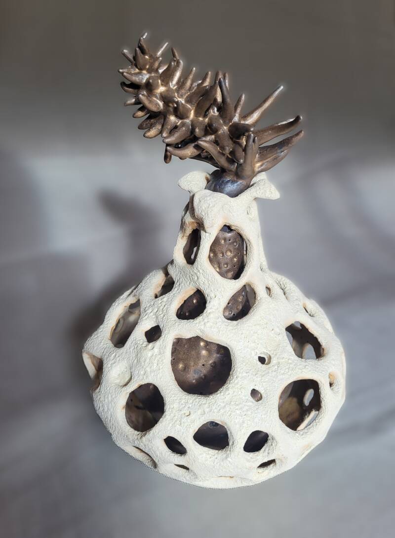 Sprouting new seeds of possibility, 2025