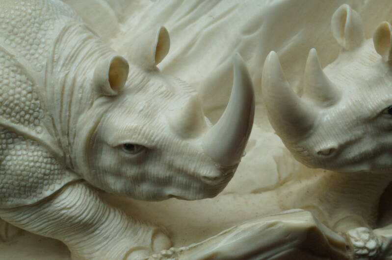 De neushoorn hoorn bevestigd. Nog wel even schoonmaken.
