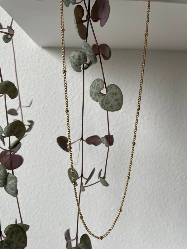 Ketting roestvrijstalen goud