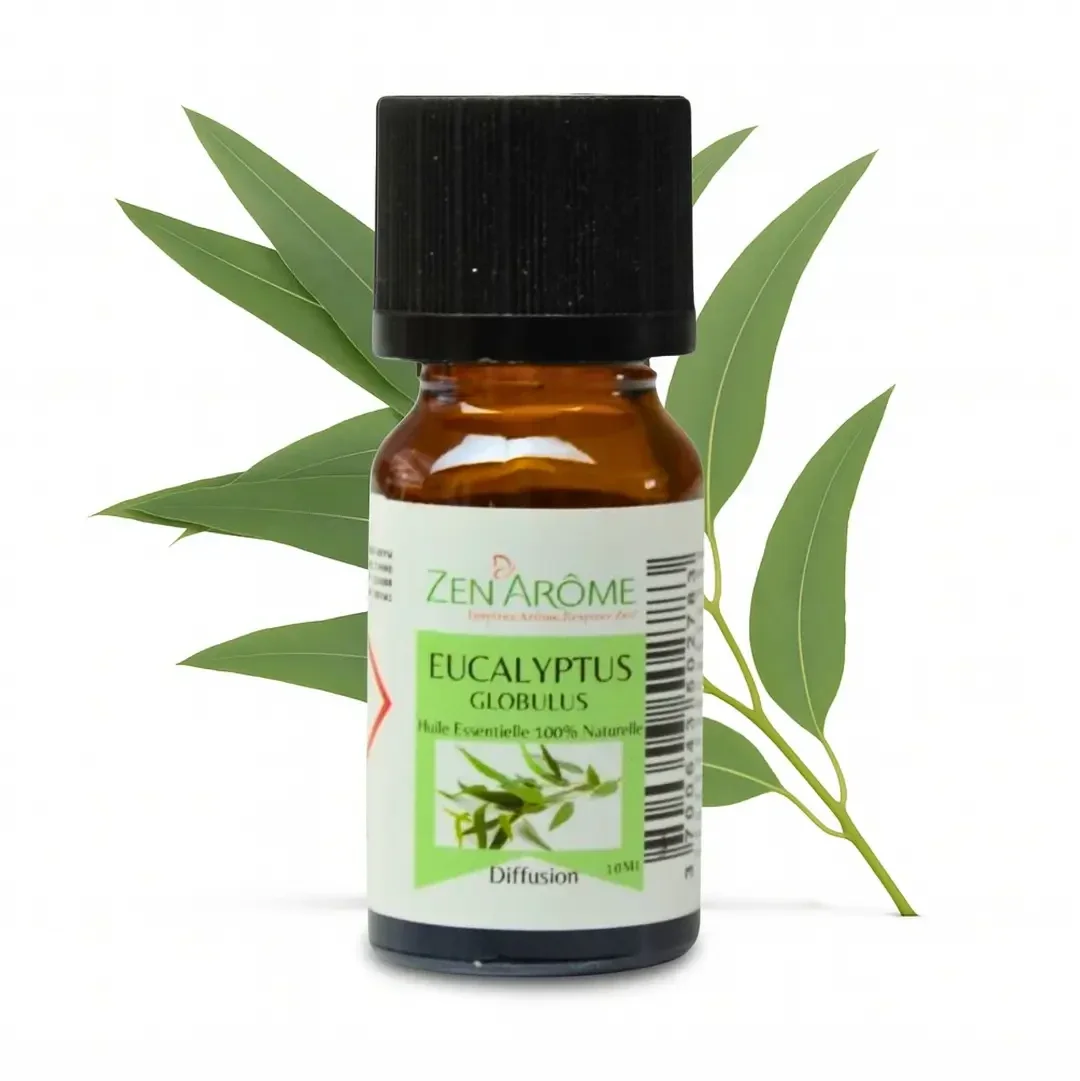 Eucalyptus essentiële olie - 100% natuurlijk - 10 ml