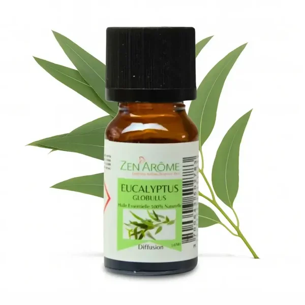 Eucalyptus essentiële olie - 100% natuurlijk - 10 ml