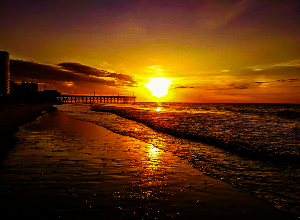Amber Horizons