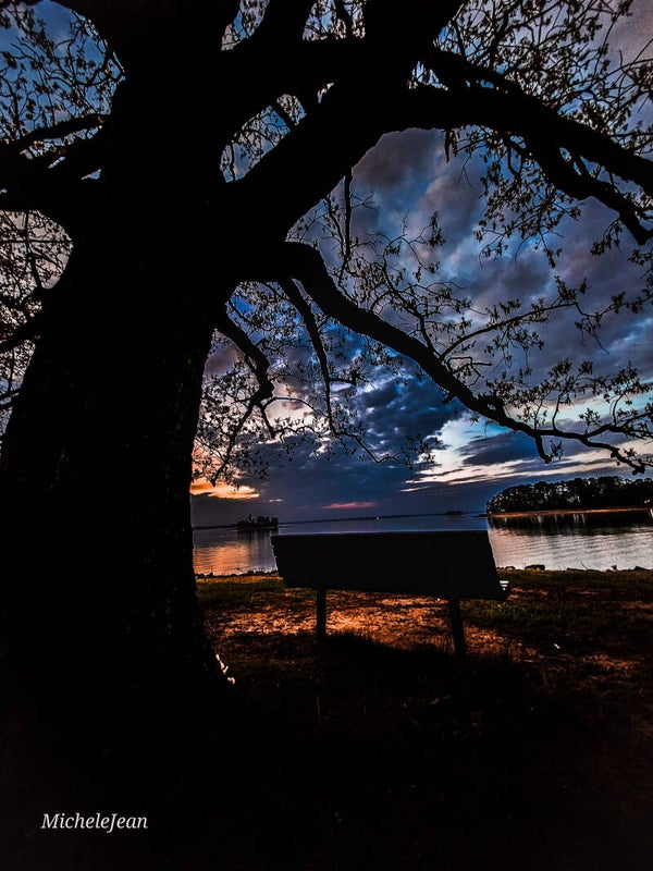 A Seat for the Sunset