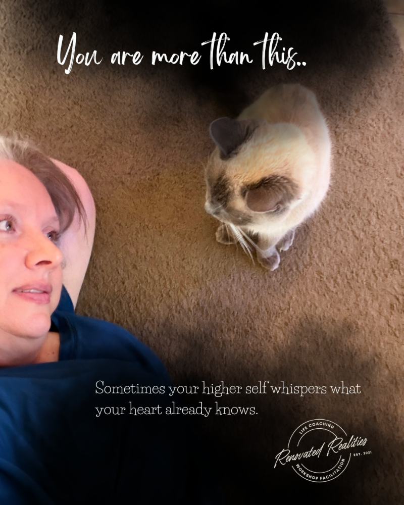 Remi Gibbs and a Cat