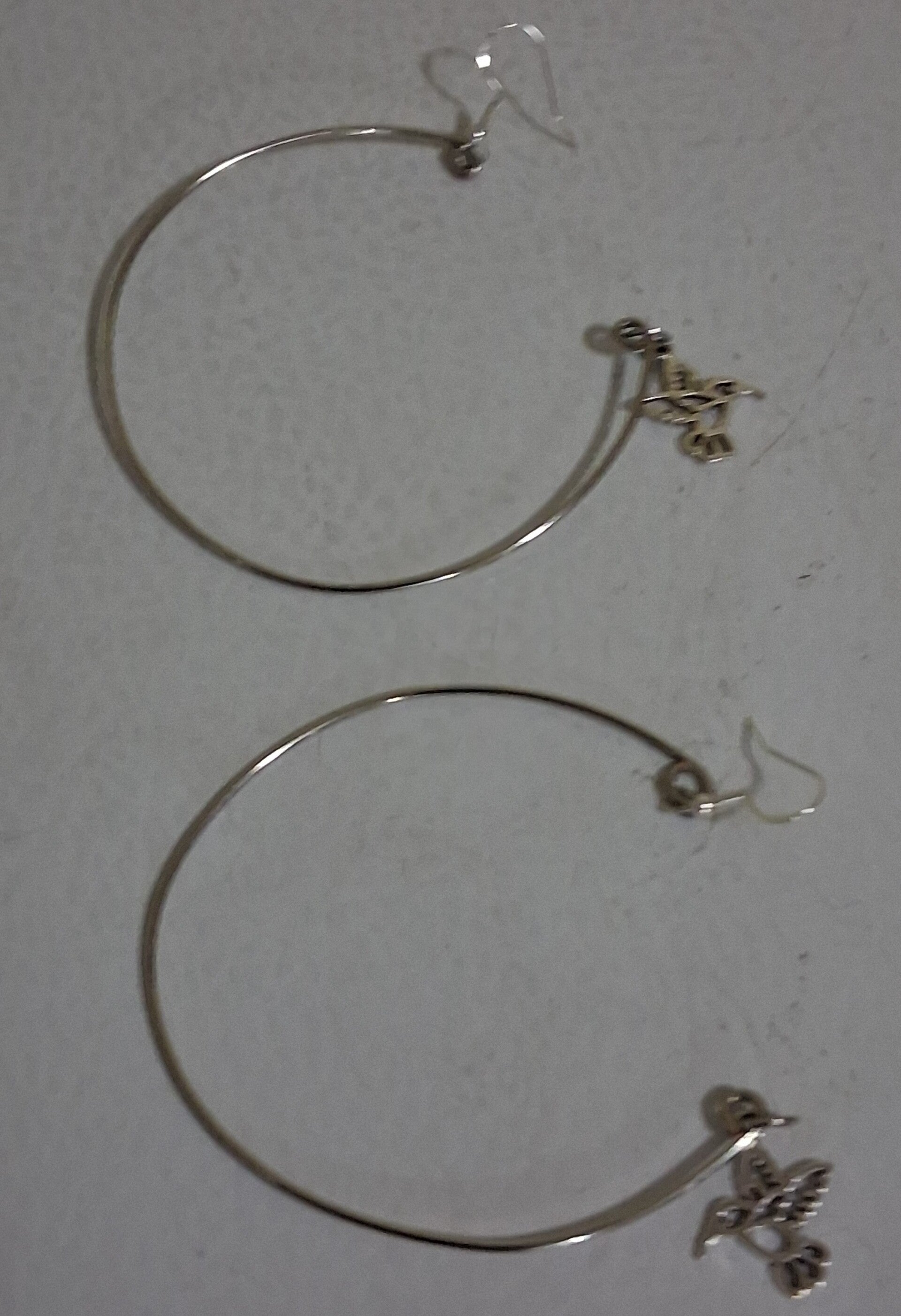 Hoops Open hoop with  Hummingbird small Iwire wrapped by me)