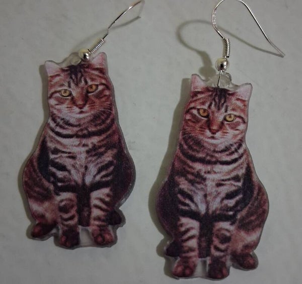 Posts with cat Brown Striped Realistic