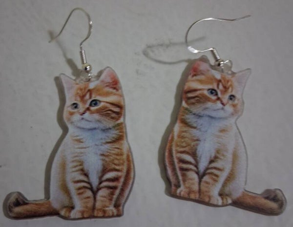 Posts with cat orange tabby Realsistic