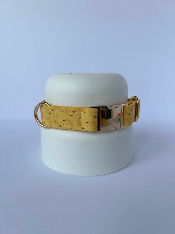 Hond - halsband - Chiquita