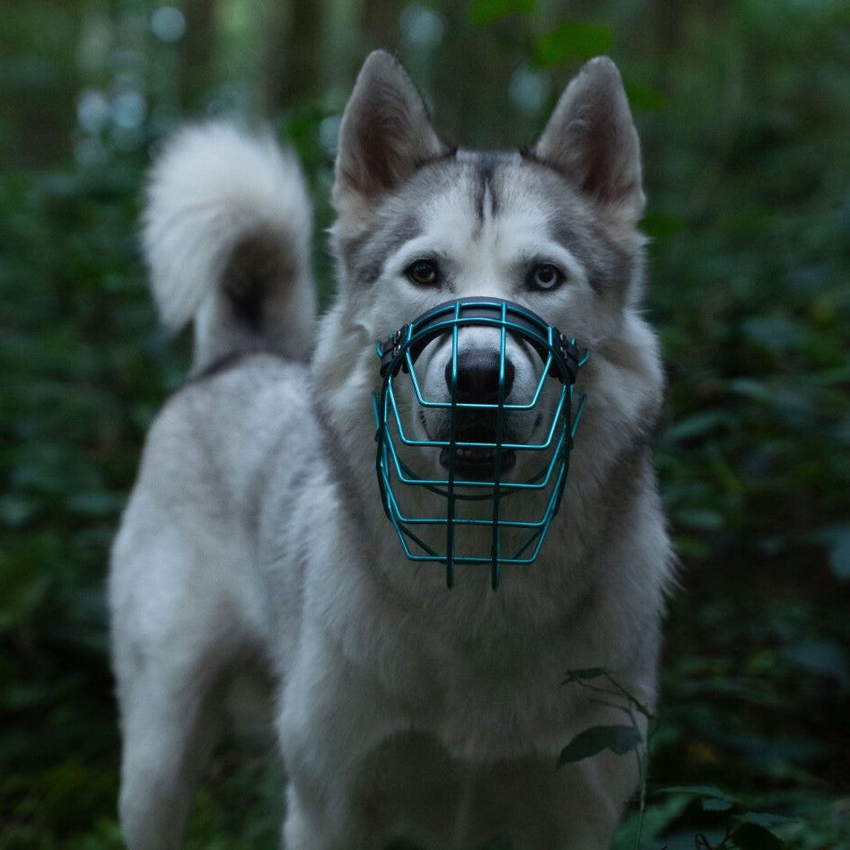 UNIMON Malinois Maulkorb Verzinkt