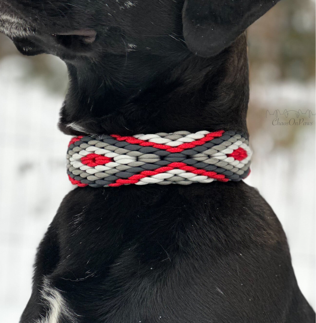 Paracord Halsband – Herkis XXL (stabil & für kräftige Hunde)