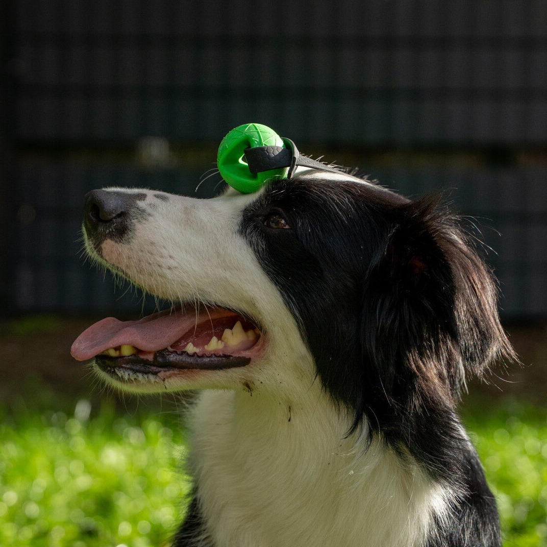 Moby Ball - S