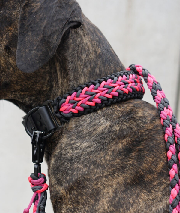 Paracord Halsband – Crazy Rattan (auffällig & stabil)