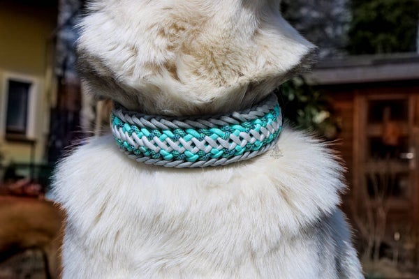 Paracord Halsband – Daylight (extra stabil)