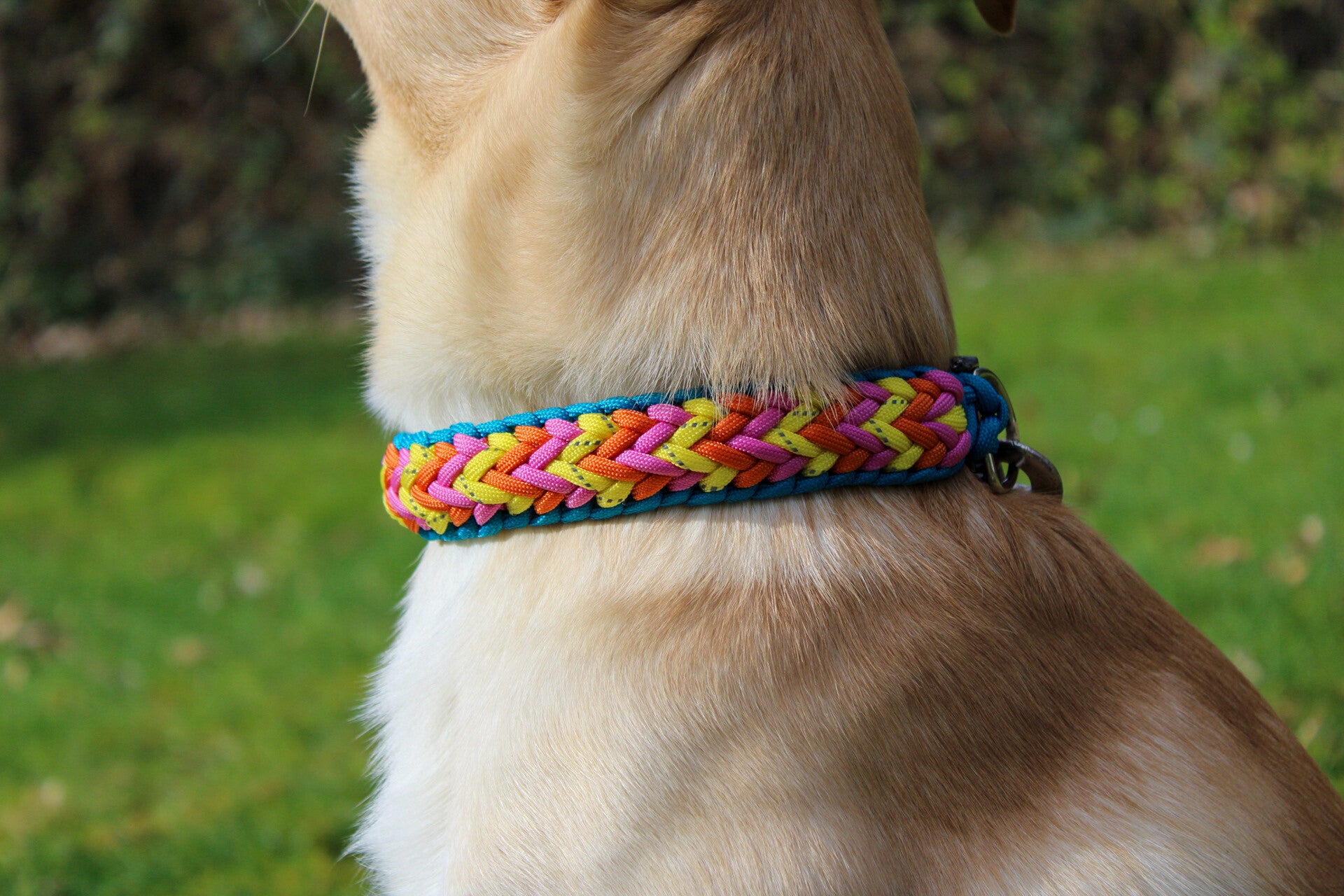 Paracord Halsband – Crown Trio (farblich abgestimmt & individuell)