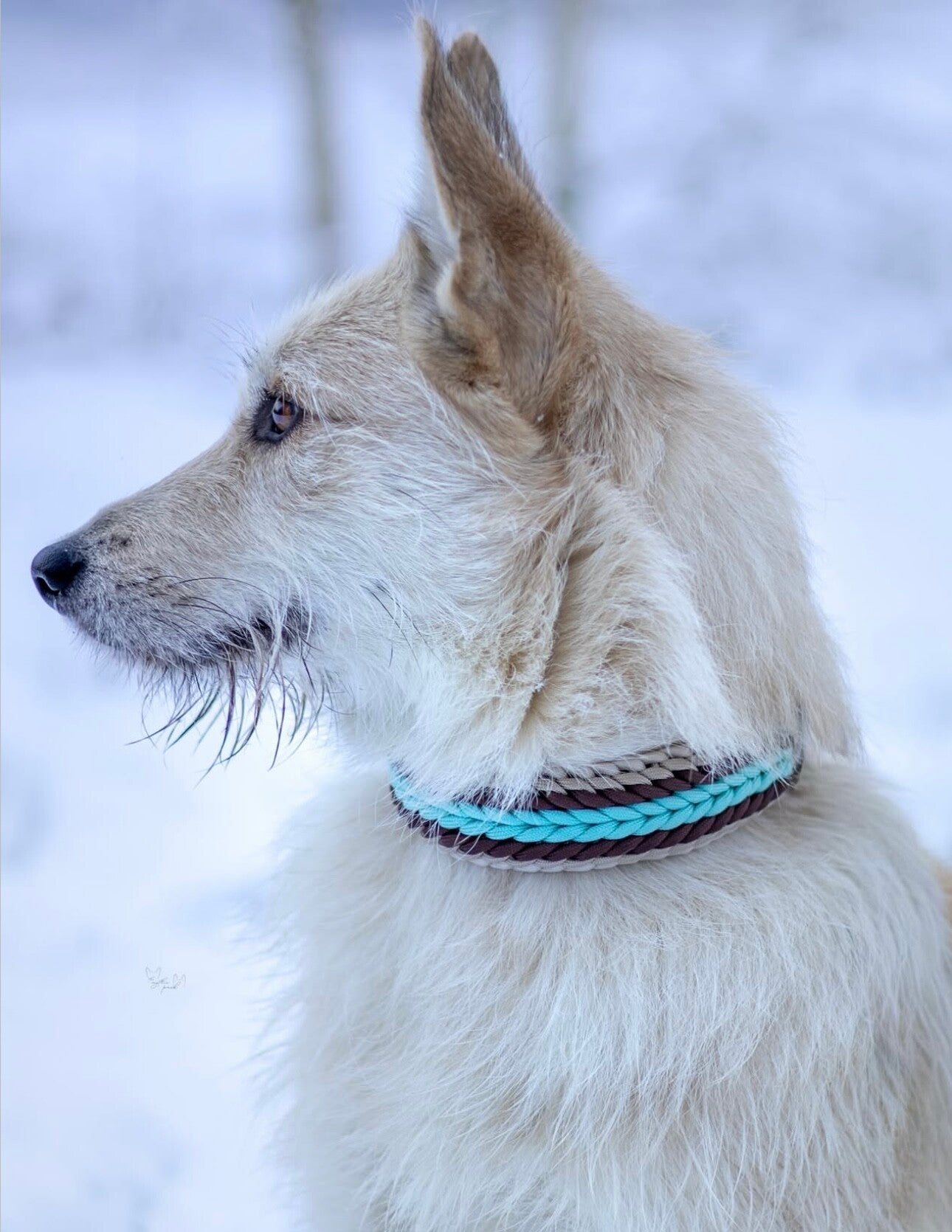 Paracord Halsband – Shining Sun (leicht & stylisch)