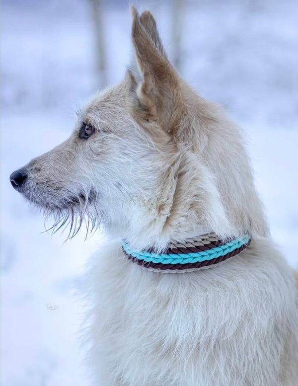 Paracord Halsband – Shining Sun (leicht & stylisch)