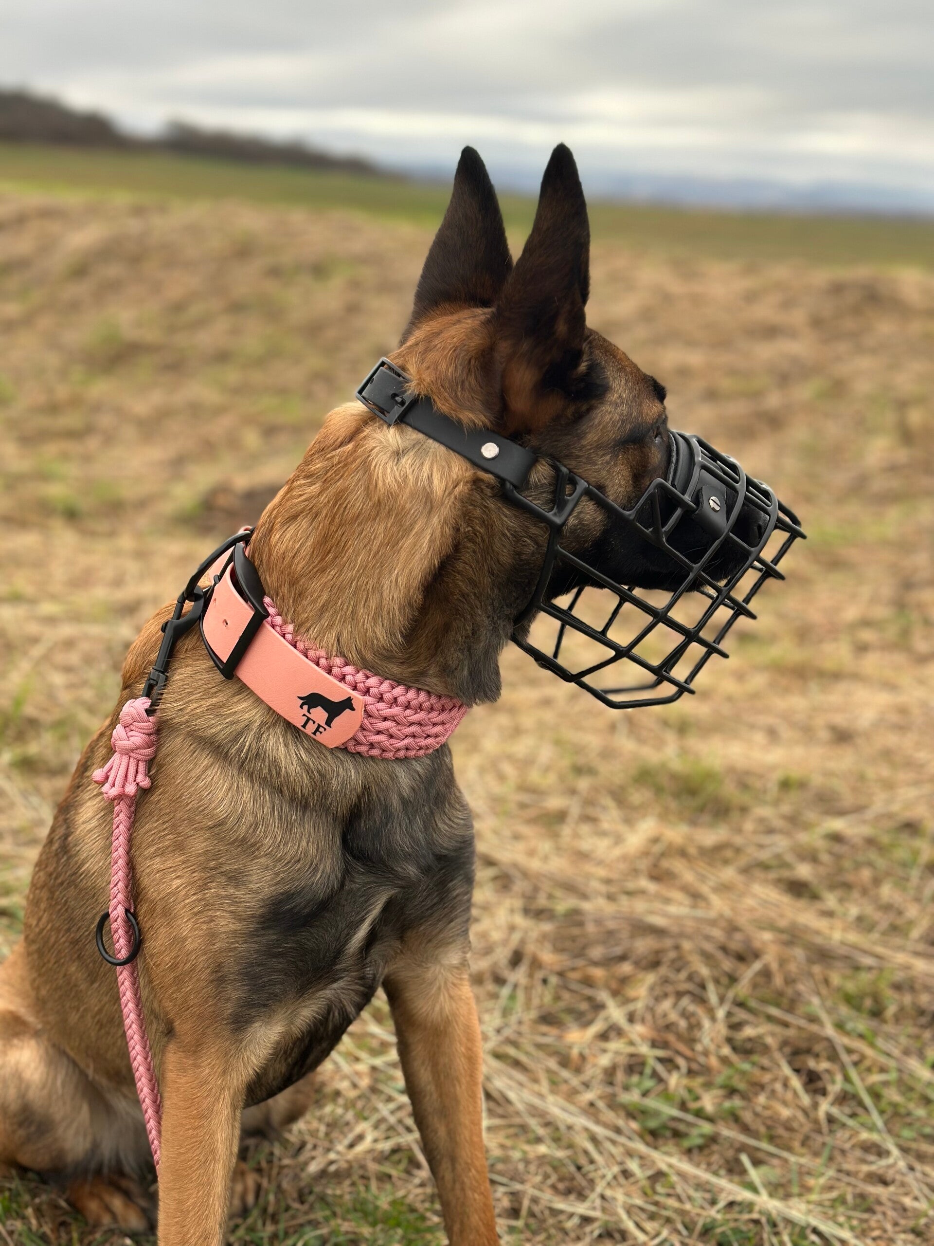 Paracord Halsband – Helmy’s Next (robust & individuell)