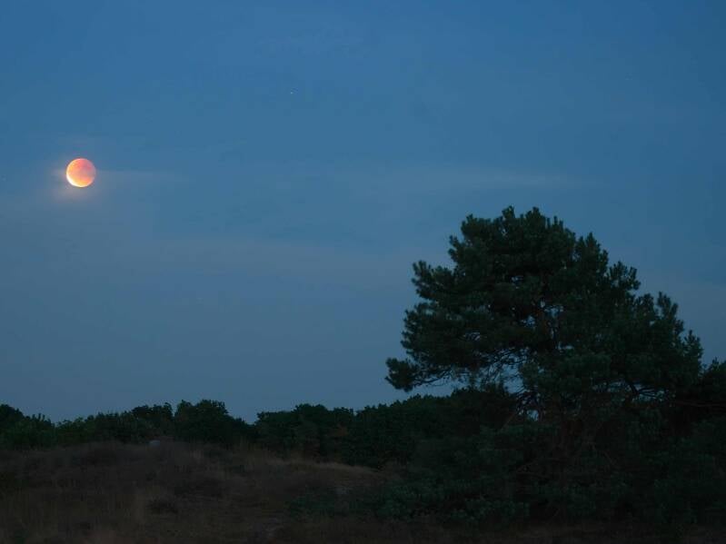 Volledige maansverduistering, 2025, Vierhouten