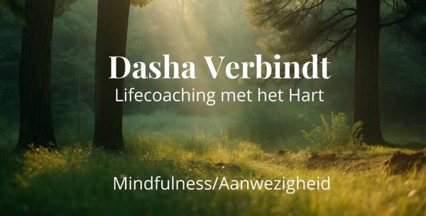 Mindfulness/Aanwezigheid
