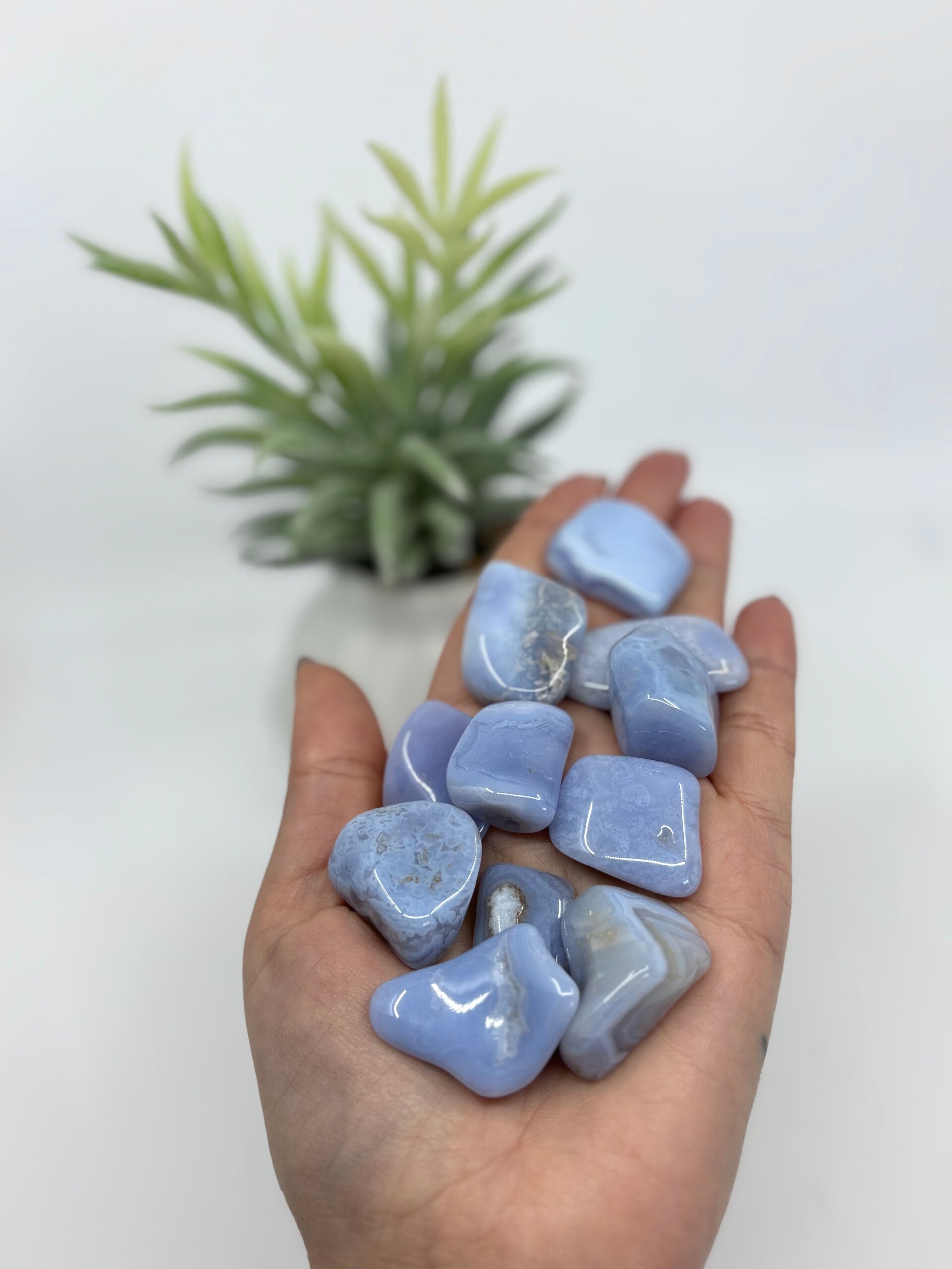 Blauwe Chalcedoon trommelsteen