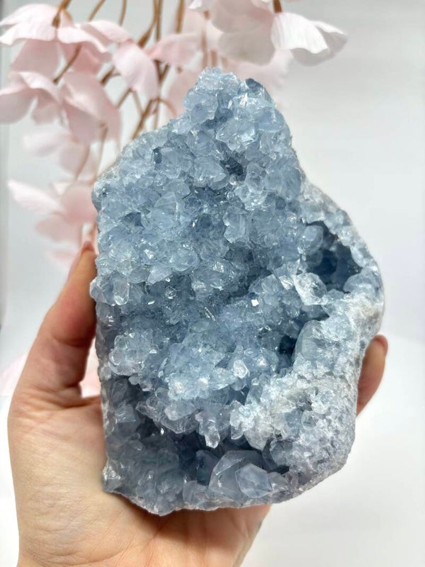 Blauwe celestien 9.