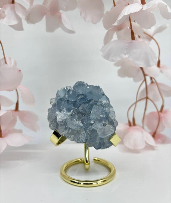 Blauwe Celestien klein