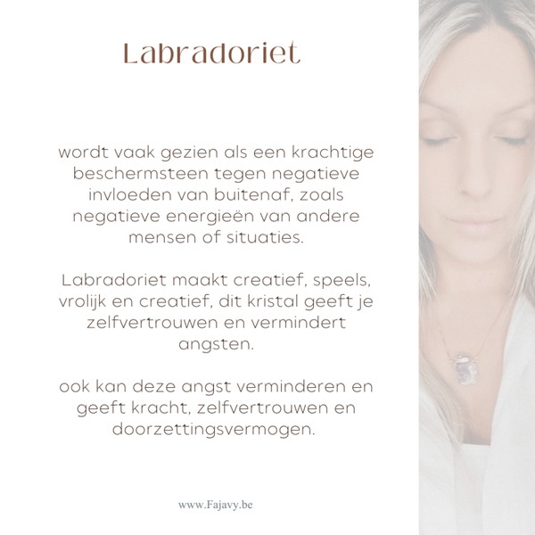 Labradoriet 5. (117)