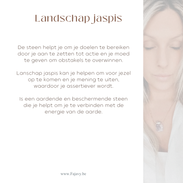 Landschap Jaspis met Skull