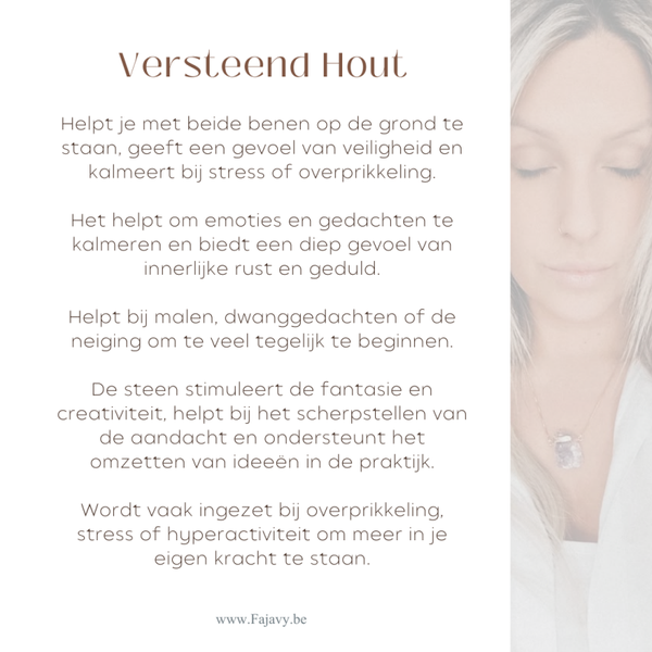 Versteend hout kom