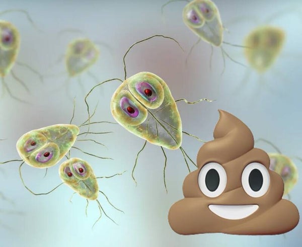 Vet-Screen Giardien Antigen Test