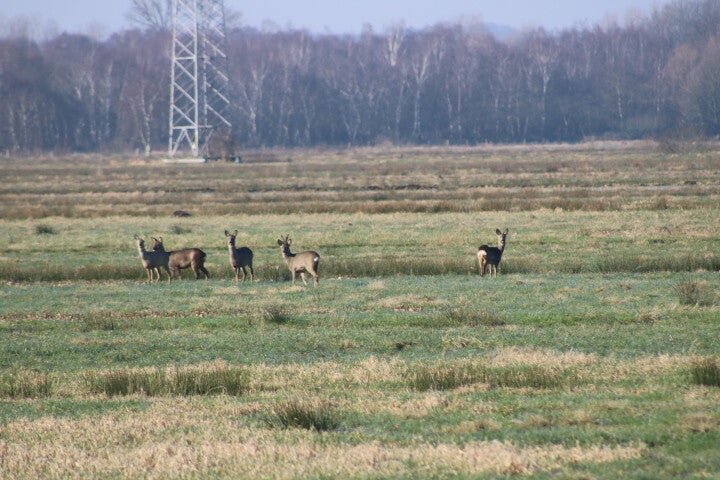 img_4964.jpg
