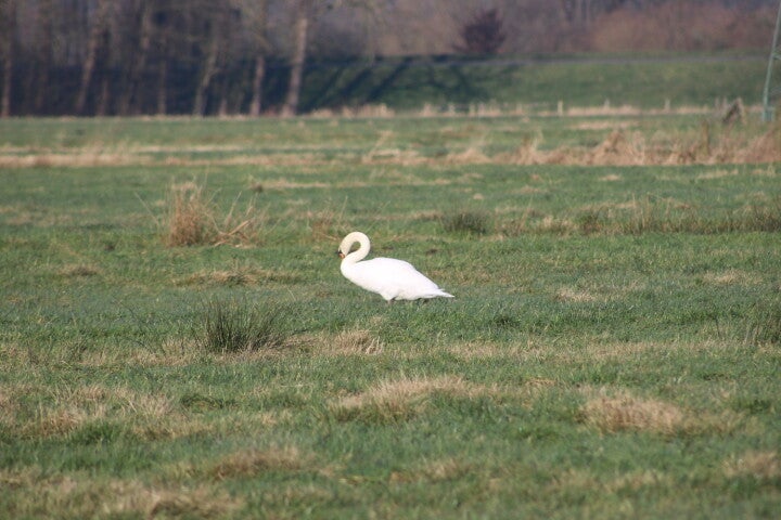 img_49823.jpg