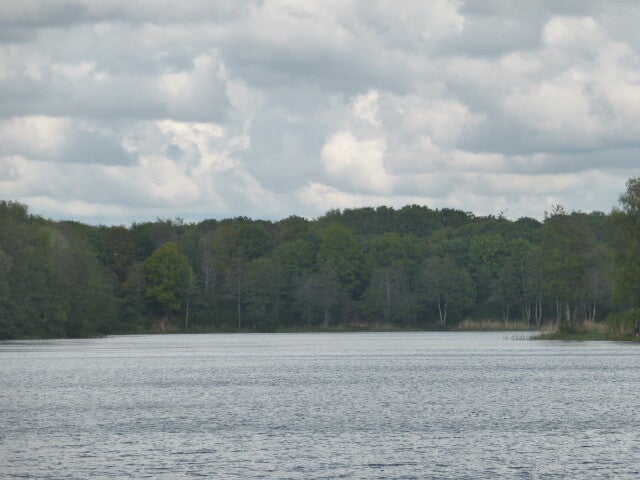 p1440440.jpg