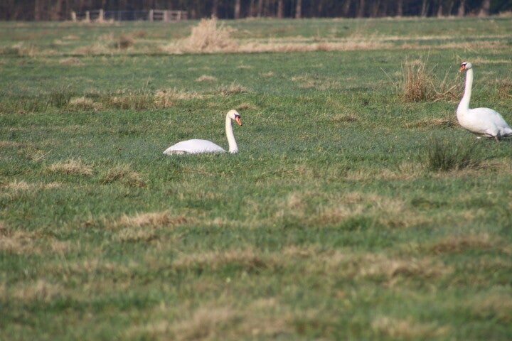 img_4986.jpg