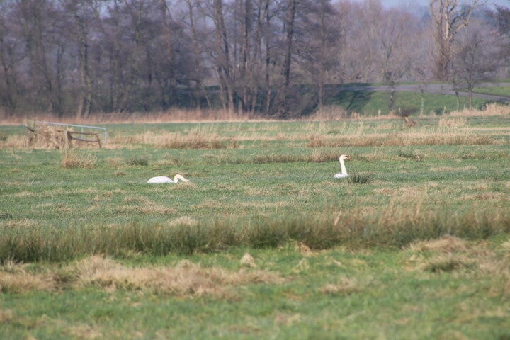 img_4969.jpg