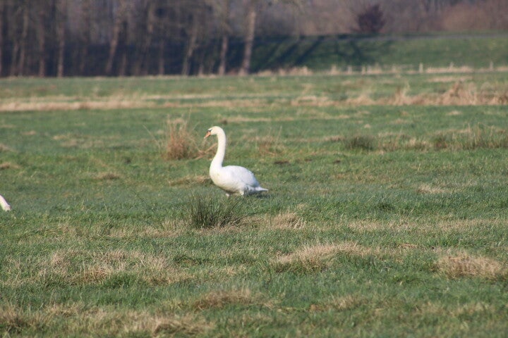 img_4990.jpg