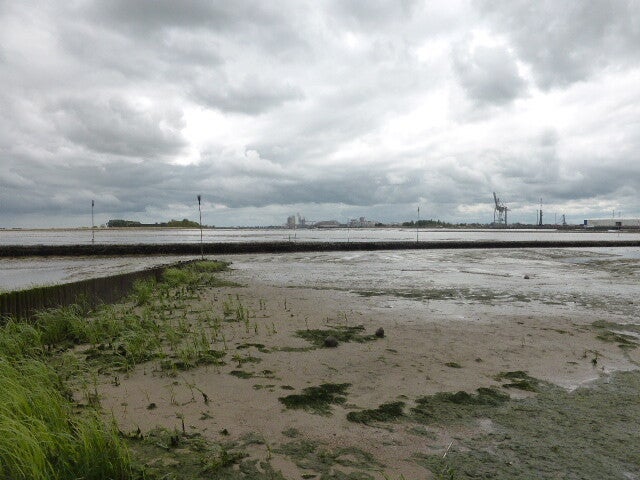 p1440350.jpg