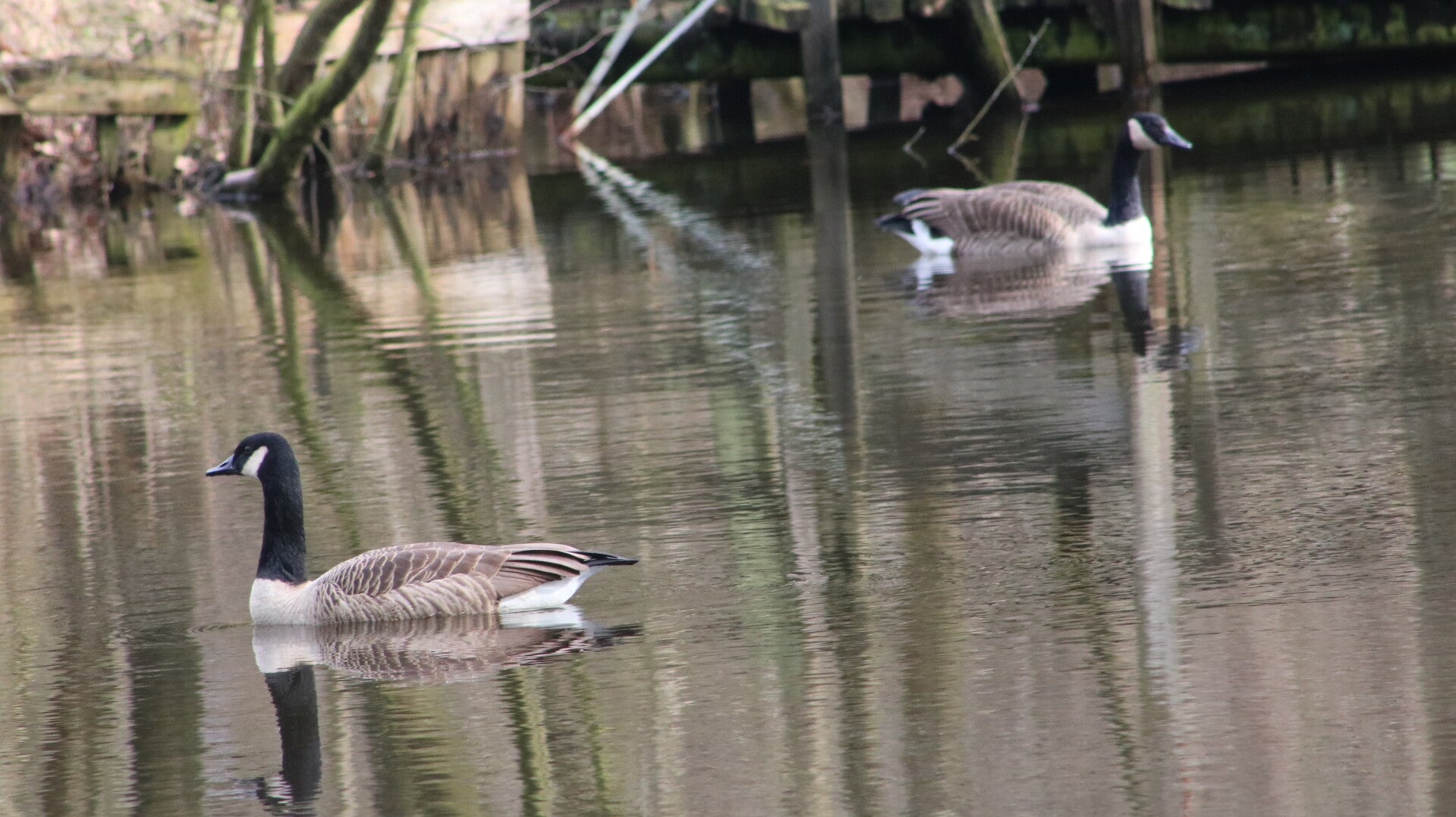 img_9758jpg.jpg