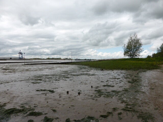 p1440362.jpg