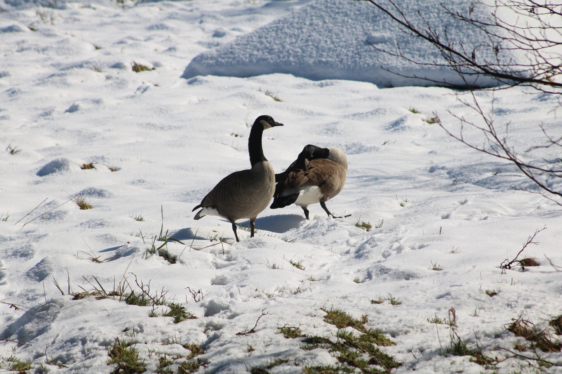 img_9864jpg.jpg