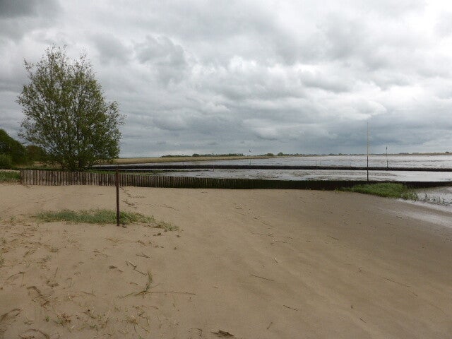 p1440388.jpg
