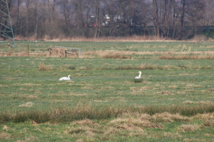 img_4965.jpg
